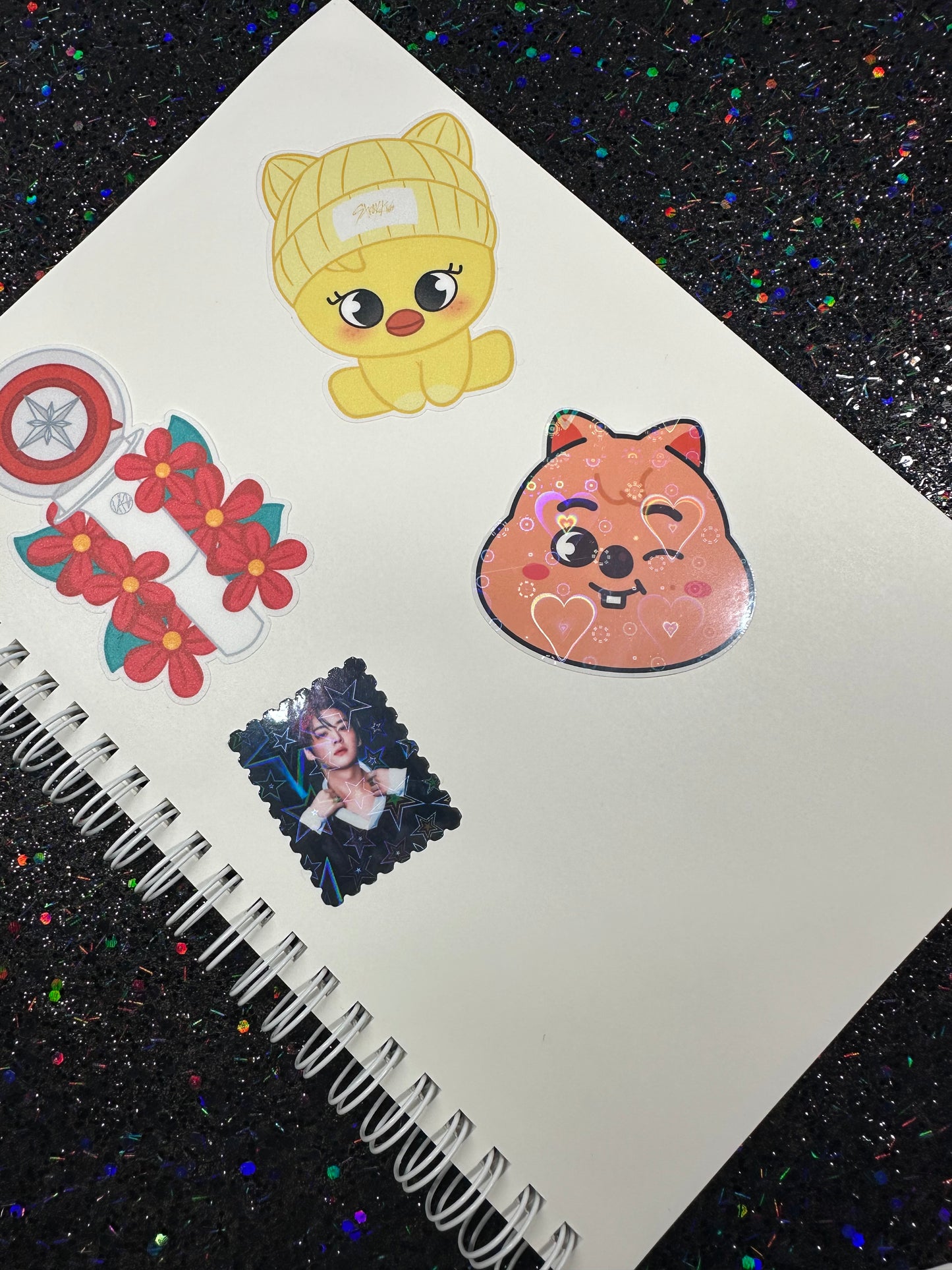 Cute Swishy SKZOO Reusable Sticker Book π