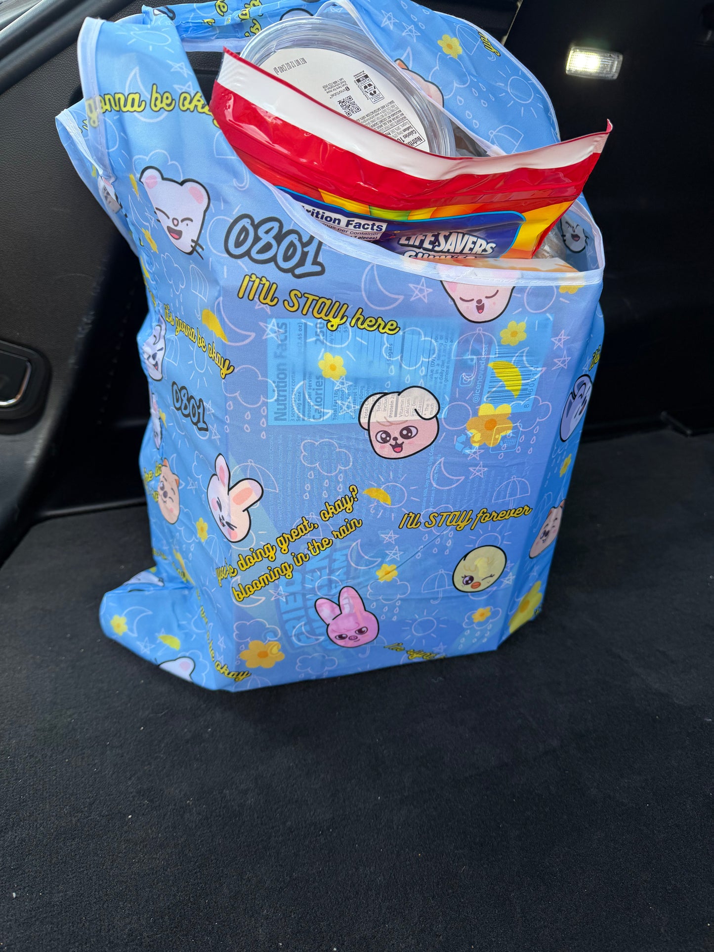 SKZ 0801 Reusable Bag