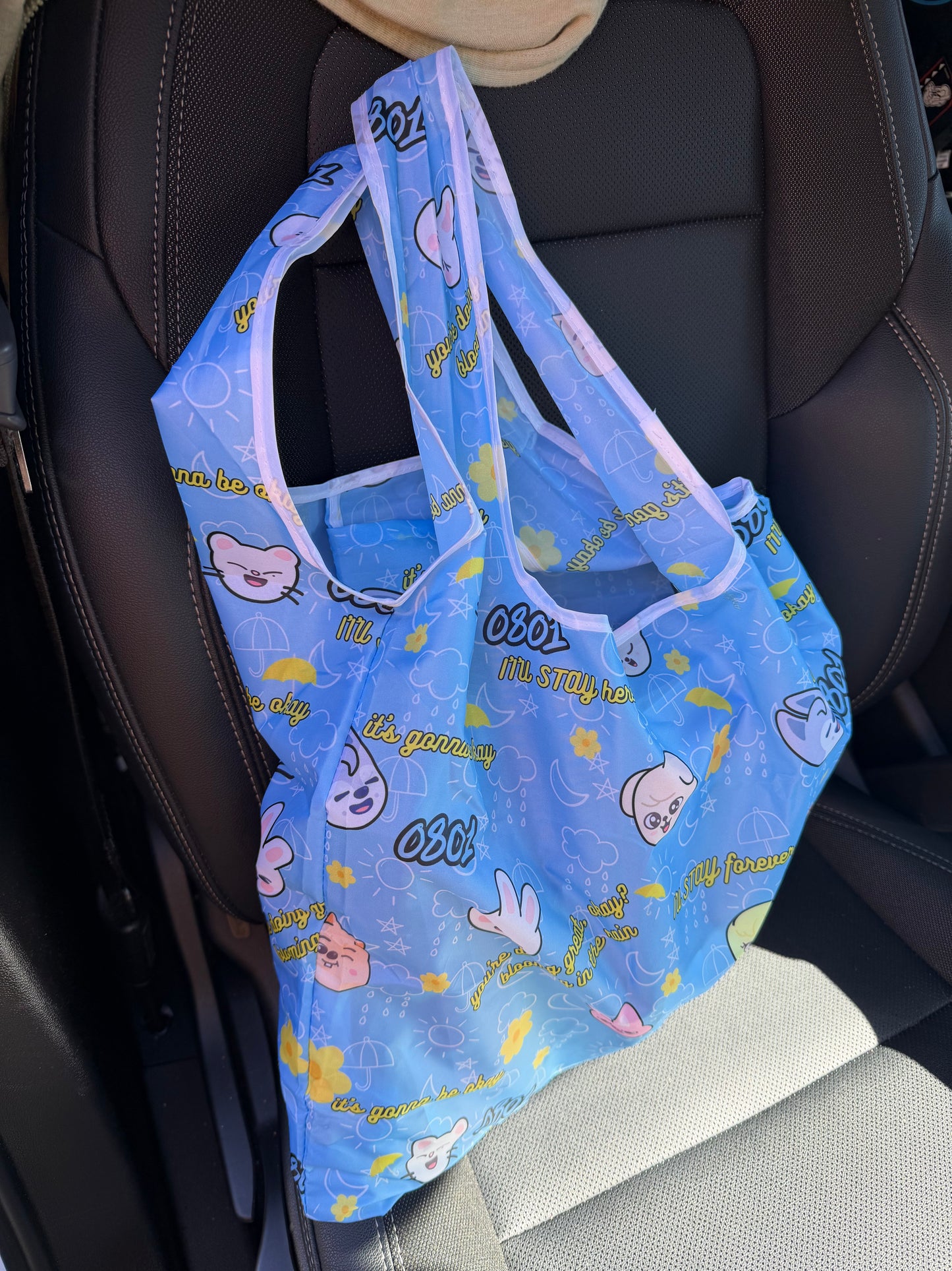 SKZ 0801 Reusable Bag
