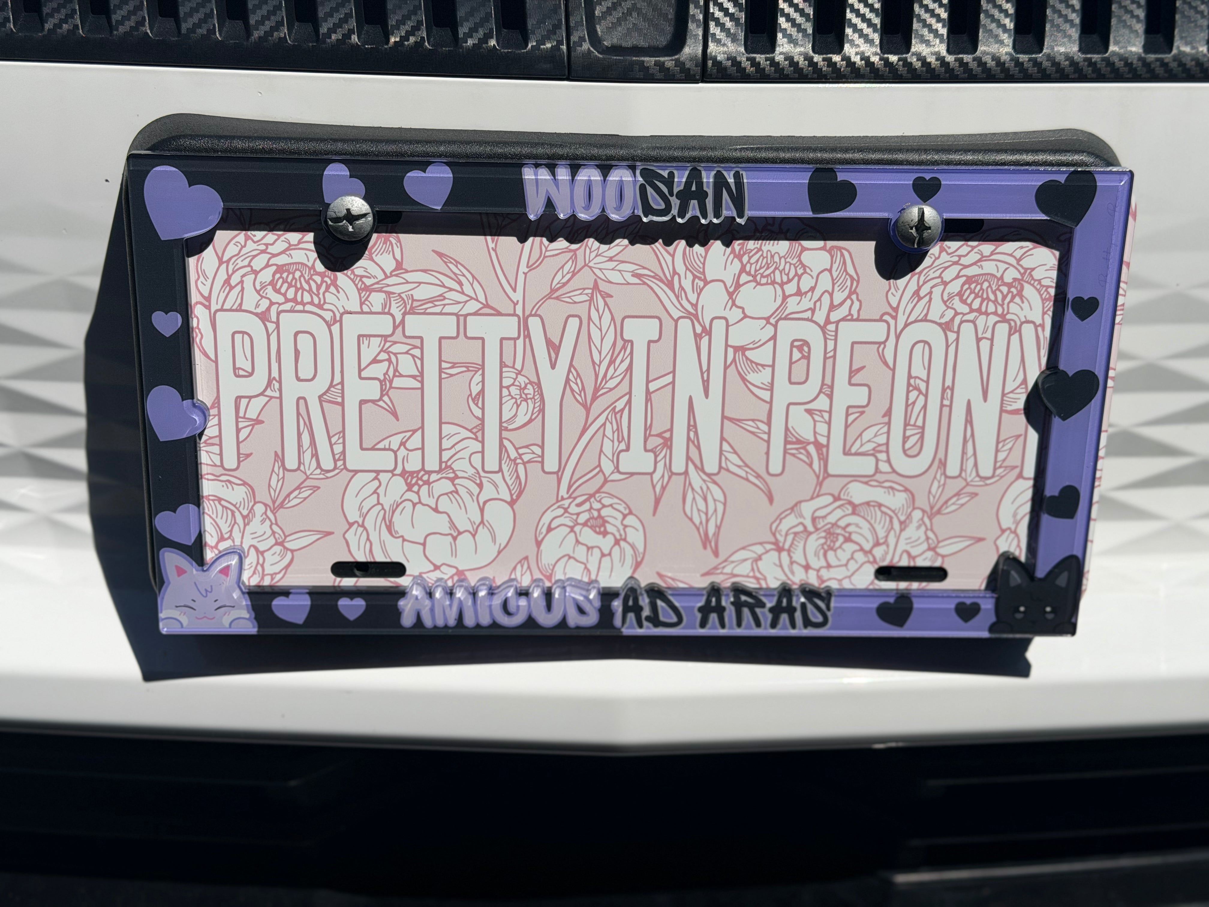 Ateez Ship License Plate Frames