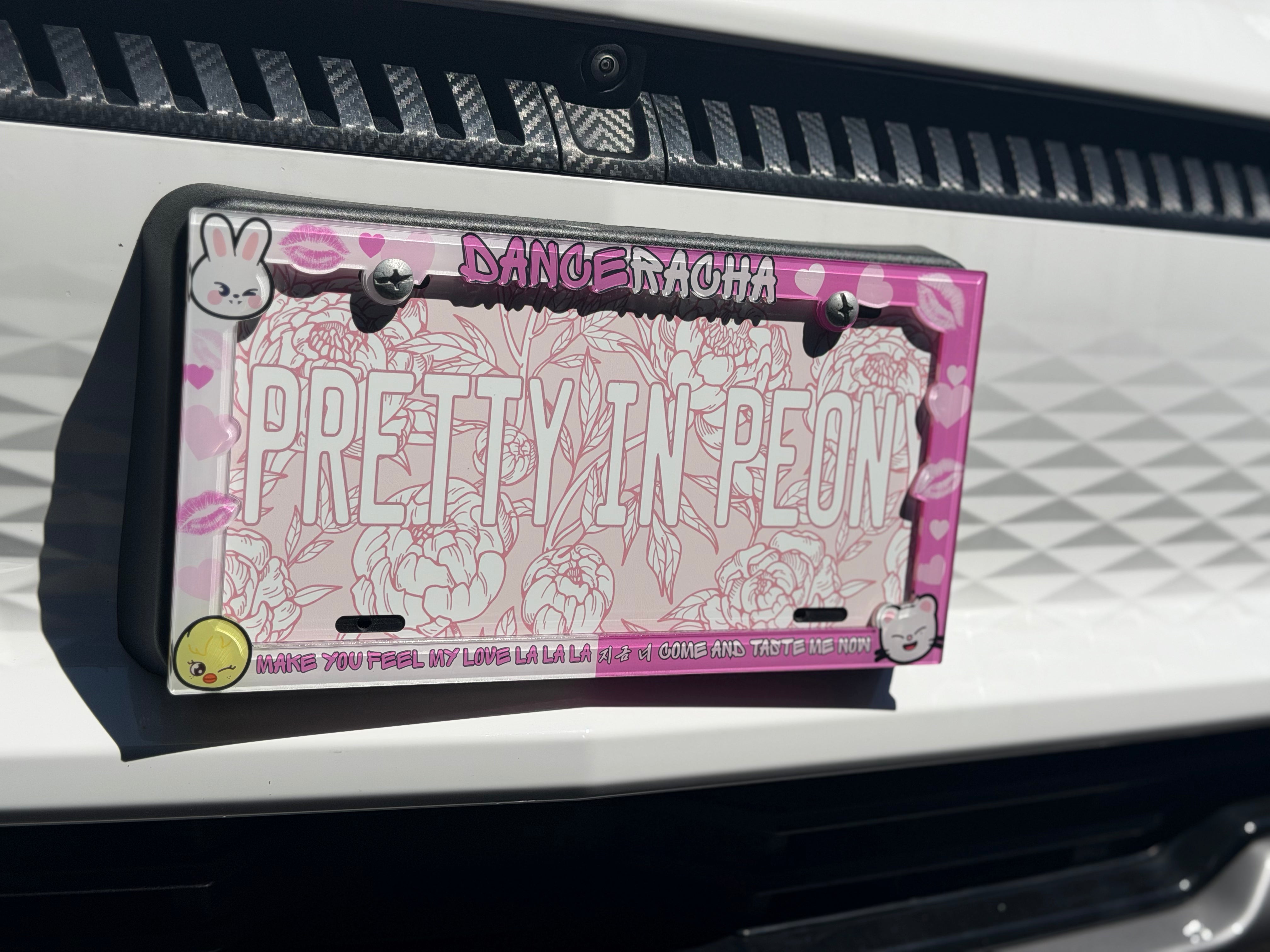 Stray Kids License Plate Frames V2-thumbmail-2