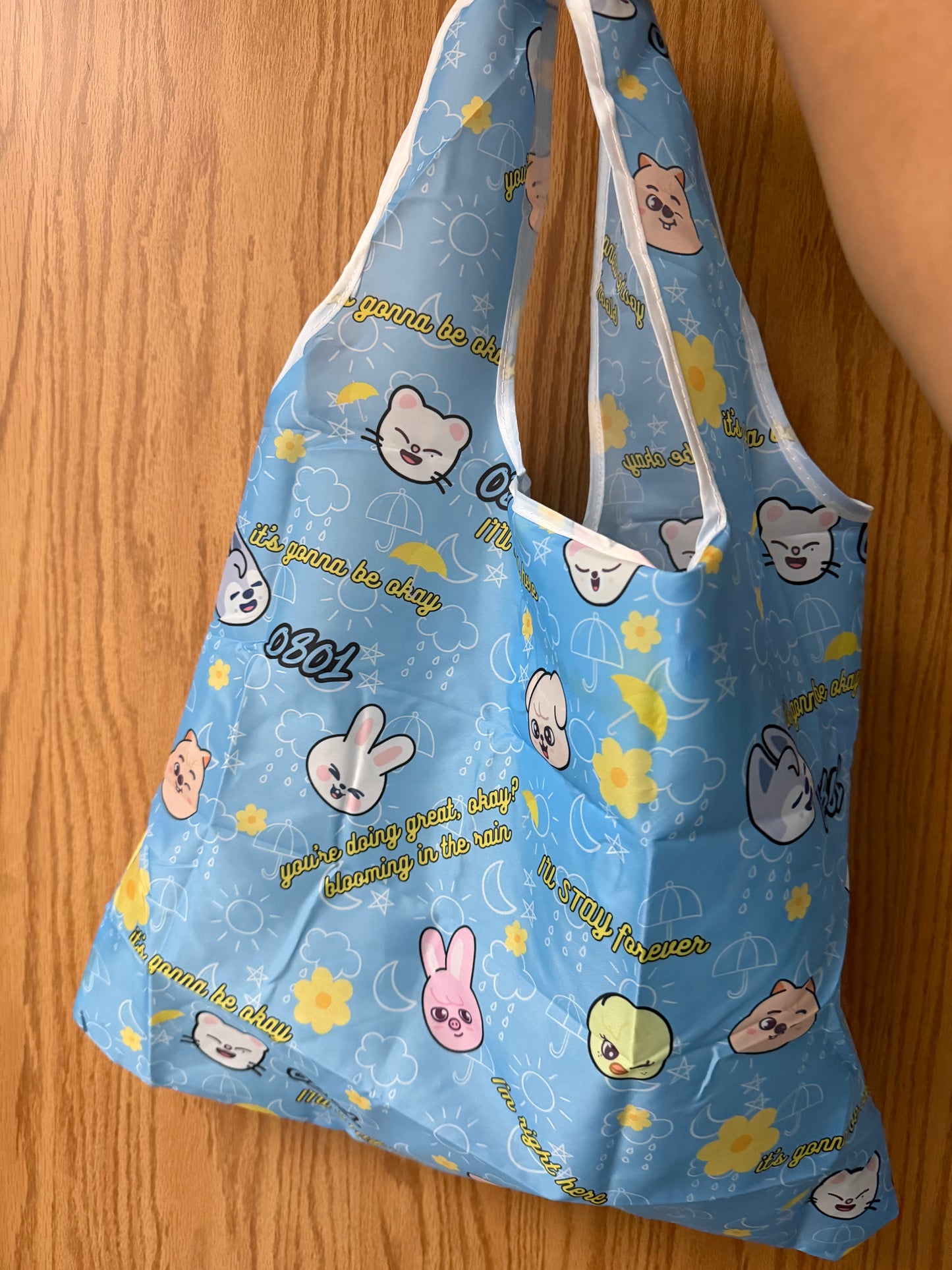 SKZ 0801 Reusable Bag