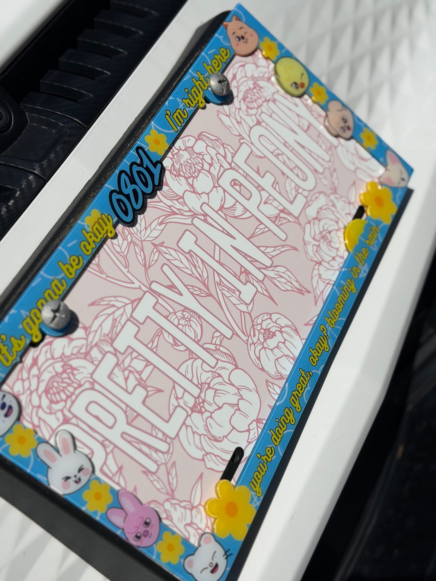 Stray Kids License Plate Frames